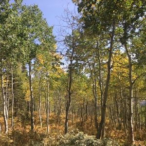 Meet your Posher, Audrey